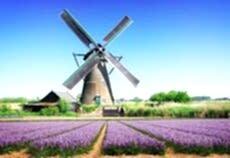 Brüksel & Amsterdam & Köln Turu Yılbaşı Özel THY ile